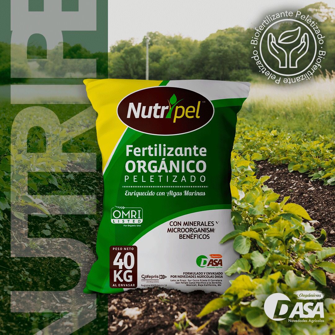 Web Novedades Agricolas DASA
