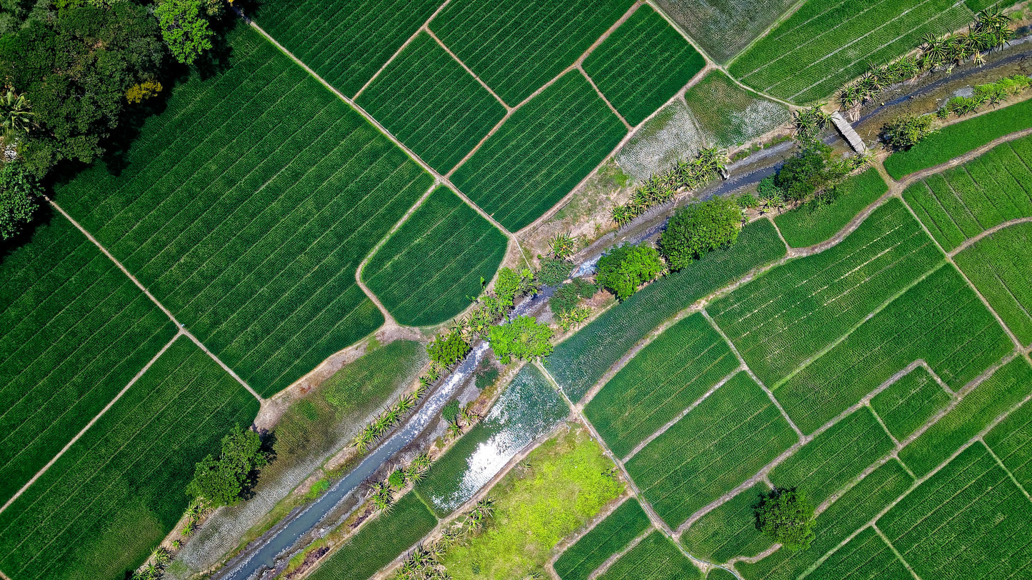 Web Novedades Agricolas DASA